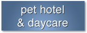 daycare